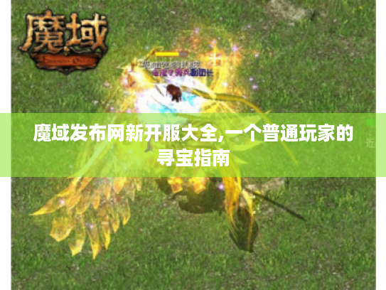 魔域发布网新开服大全,一个普通玩家的寻宝指南