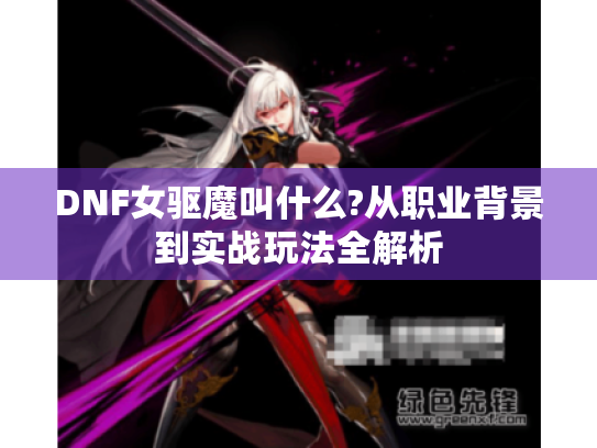 DNF女驱魔叫什么?从职业背景到实战玩法全解析