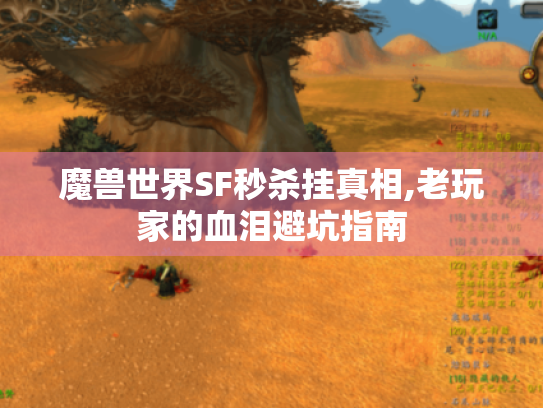 魔兽世界SF秒杀挂真相,老玩家的血泪避坑指南 魔兽世界SF秒杀挂真相,老玩家的血泪避坑指南