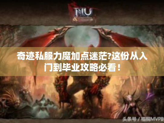 奇迹私服力魔加点迷茫?这份从入门到毕业攻略必看！