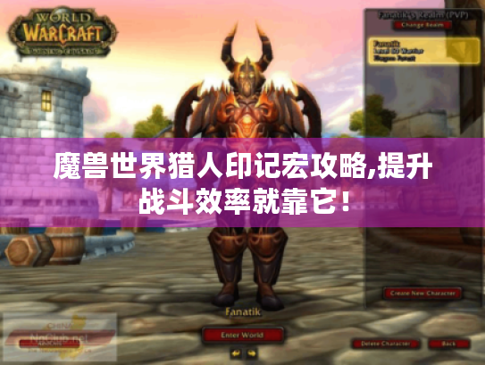 魔兽世界猎人印记宏攻略,提升战斗效率就靠它！