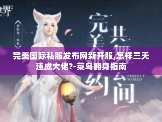 完美国际私服发布网新开服,怎样三天速成大佬?-菜鸟翻身指南
