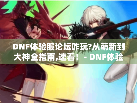 DNF体验服论坛咋玩?从萌新到大神全指南,速看！- DNF体验服论坛