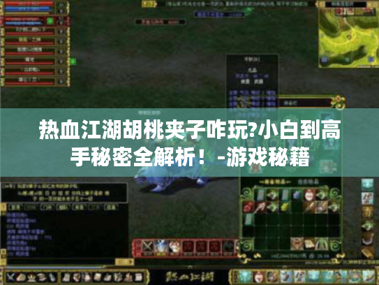 热血江湖胡桃夹子咋玩?小白到高手秘密全解析!-游戏秘籍 热血江湖胡桃夹子咋玩?小白到高手秘密全解析!-游戏秘籍