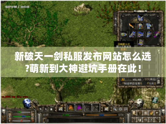 新破天一剑私服发布网站怎么选?萌新到大神避坑手册在此！
