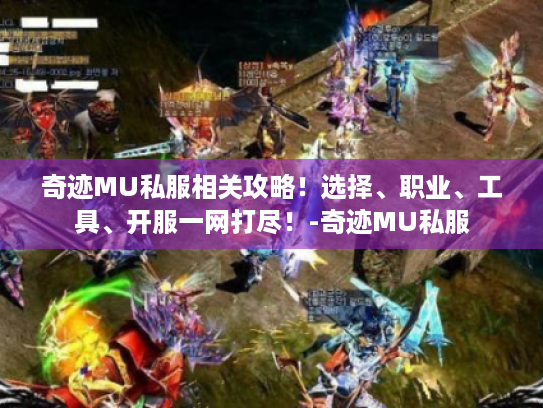奇迹MU私服相关攻略！选择、职业、工具、开服一网打尽！-奇迹MU私服