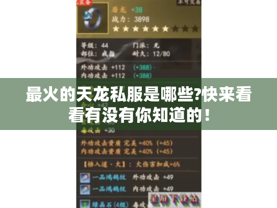 最火的天龙私服是哪些?快来看看有没有你知道的！