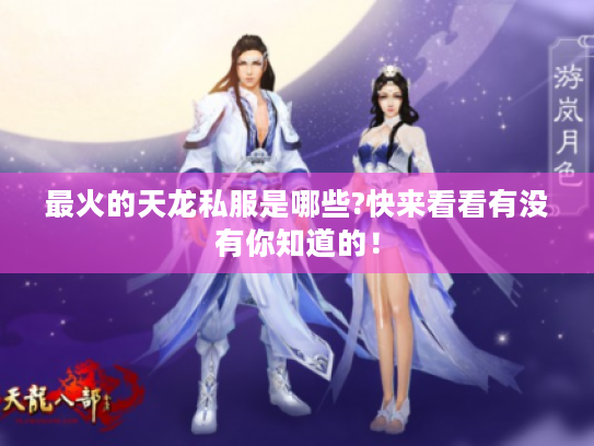 最火的天龙私服是哪些?快来看看有没有你知道的！