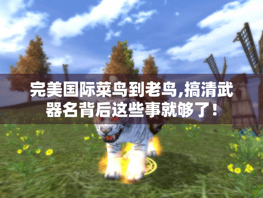 完美国际菜鸟到老鸟,搞清武器名背后这些事就够了！