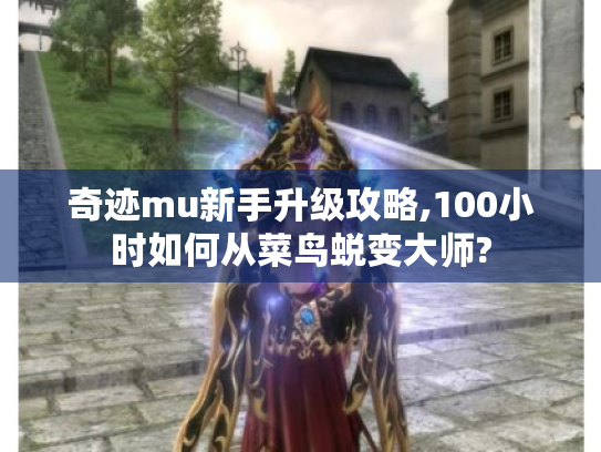 奇迹mu新手升级攻略,100小时如何从菜鸟蜕变大师?