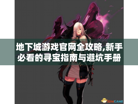 地下城游戏官网全攻略,新手必看的寻宝指南与避坑手册 地下城游戏官网全攻略,新手必看的寻宝指南与避坑手册