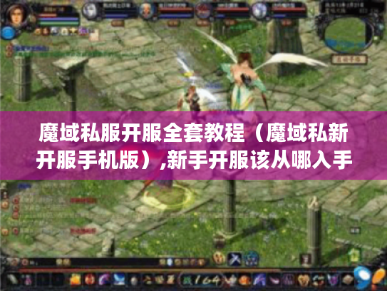 魔域私服开服全套教程（魔域私新开服手机版）,新手开服该从哪入手?