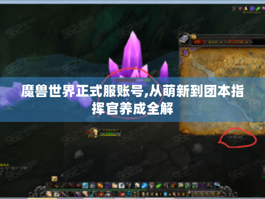 魔兽世界正式服账号,从萌新到团本指挥官养成全解