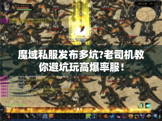 魔域私服发布多坑?老司机教你避坑玩高爆率服！
