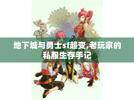 地下城与勇士sf超变,老玩家的私服生存手记