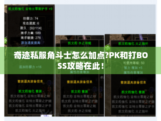 奇迹私服角斗士怎么加点?PK和打BOSS攻略在此！