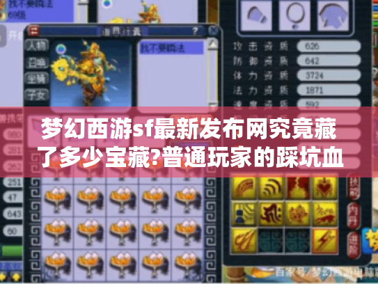 梦幻西游sf最新发布网究竟藏了多少宝藏?普通玩家的踩坑血泪史 梦幻西游sf最新发布网究竟藏了多少宝藏?普通玩家的踩坑血泪史