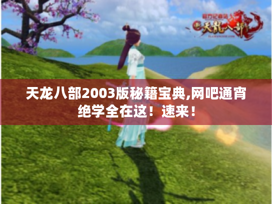 天龙八部2003版秘籍宝典,网吧通宵绝学全在这！速来！