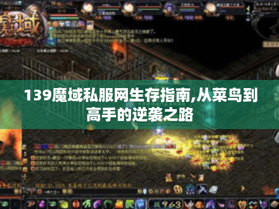 139魔域私服网生存指南,从菜鸟到高手的逆袭之路