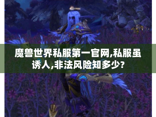 魔兽世界私服第一官网,私服虽诱人,非法风险知多少?