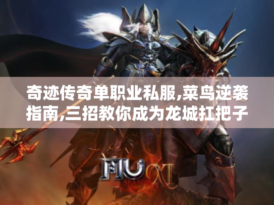 奇迹传奇单职业私服,菜鸟逆袭指南,三招教你成为龙城扛把子 奇迹传奇单职业私服,菜鸟逆袭指南,三招教你成为龙城扛把子