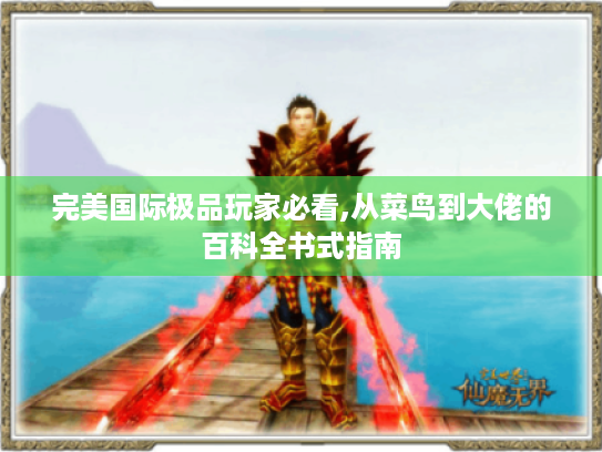 完美国际极品玩家必看,从菜鸟到大佬的百科全书式指南