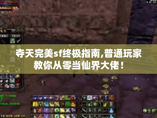 夺天完美sf终极指南,普通玩家教你从零当仙界大佬！