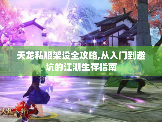 天龙私服架设全攻略,从入门到避坑的江湖生存指南