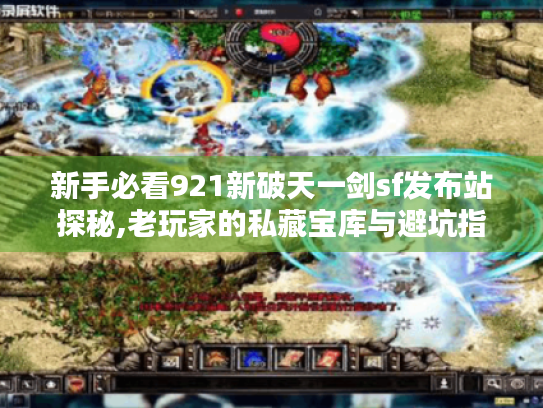 新手必看921新破天一剑sf发布站探秘,老玩家的私藏宝库与避坑指南