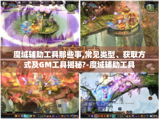 魔域辅助工具那些事,常见类型、获取方式及GM工具揭秘?-魔域辅助工具
