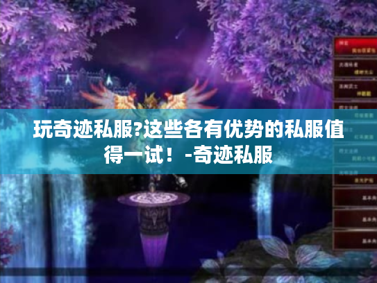 玩奇迹私服?这些各有优势的私服值得一试！-奇迹私服