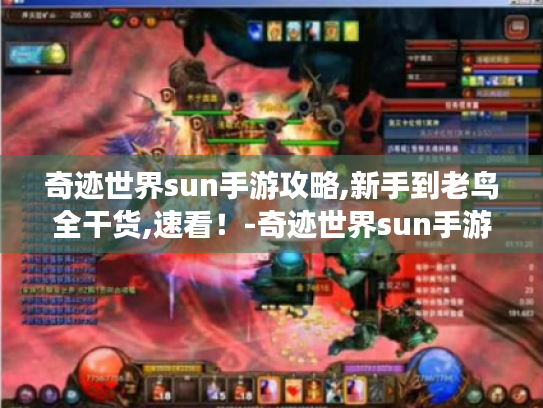 奇迹世界sun手游攻略,新手到老鸟全干货,速看！-奇迹世界sun手游