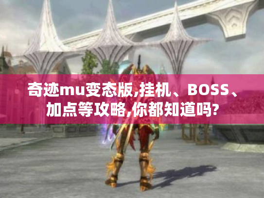 奇迹mu变态版,挂机、BOSS、加点等攻略,你都知道吗?