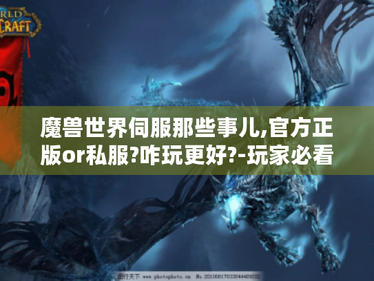 魔兽世界伺服那些事儿,官方正版or私服?咋玩更好?-玩家必看