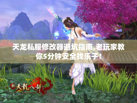 天龙私服修改器避坑指南,老玩家教你5分钟安全找乐子！