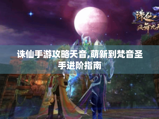 诛仙手游攻略天音,萌新到梵音圣手进阶指南