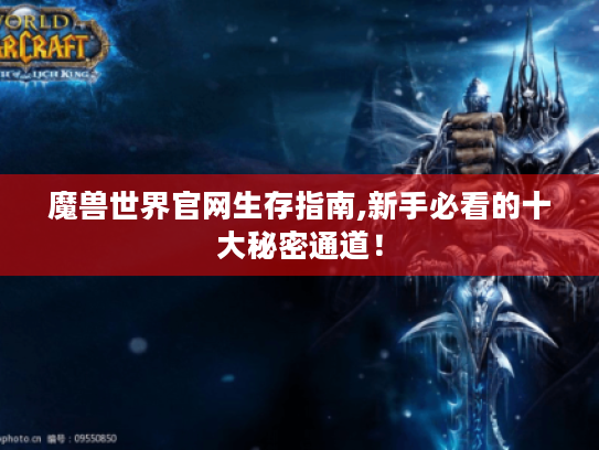 魔兽世界官网生存指南,新手必看的十大秘密通道！
