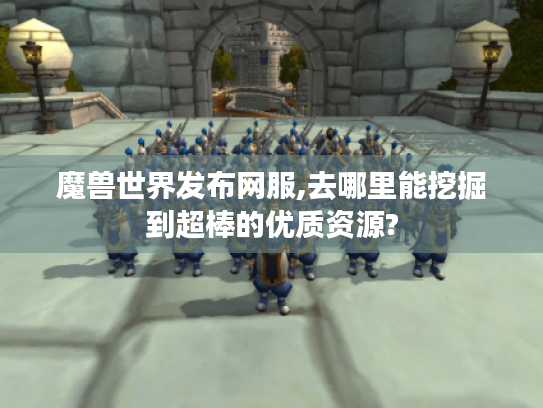 魔兽世界发布网服,去哪里能挖掘到超棒的优质资源?
