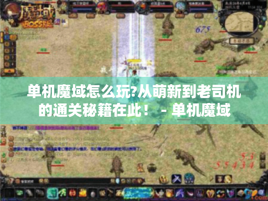 单机魔域怎么玩?从萌新到老司机的通关秘籍在此！ - 单机魔域