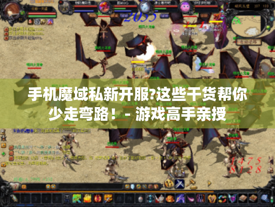 手机魔域私新开服?这些干货帮你少走弯路！- 游戏高手亲授