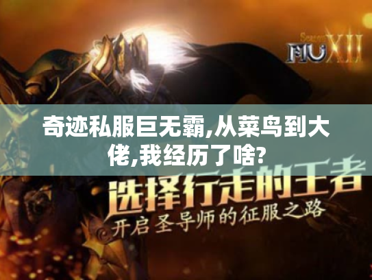 奇迹私服巨无霸,从菜鸟到大佬,我经历了啥?