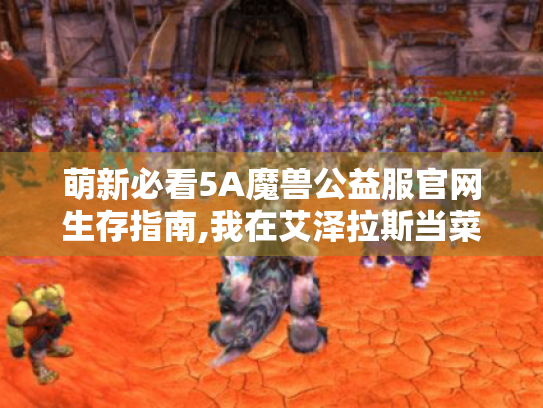 萌新必看5A魔兽公益服官网生存指南,我在艾泽拉斯当菜鸟的日子 萌新必看5A魔兽公益服官网生存指南,我在艾泽拉斯当菜鸟的日子