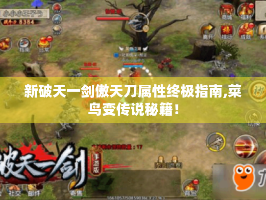 新破天一剑傲天刀属性终极指南,菜鸟变传说秘籍！