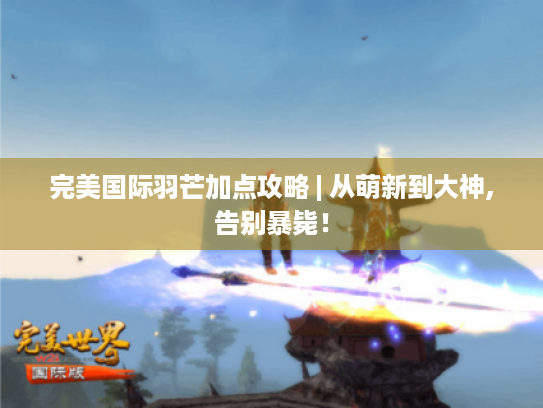 完美国际羽芒加点攻略 | 从萌新到大神,告别暴毙！