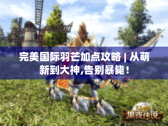 完美国际羽芒加点攻略 | 从萌新到大神,告别暴毙！