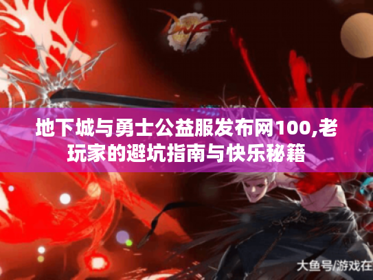 地下城与勇士公益服发布网100,老玩家的避坑指南与快乐秘籍
