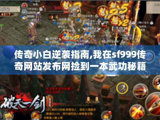传奇小白逆袭指南,我在sf999传奇网站发布网捡到一本武功秘籍