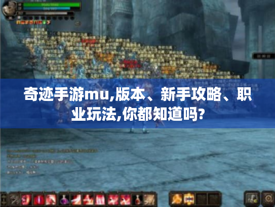 奇迹手游mu,版本、新手攻略、职业玩法,你都知道吗? 奇迹手游mu,版本、新手攻略、职业玩法,你都知道吗?