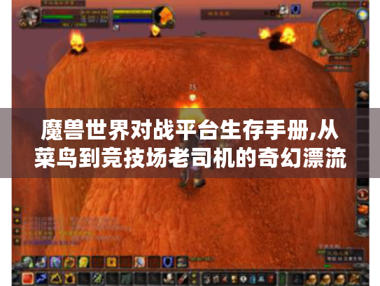 魔兽世界对战平台生存手册,从菜鸟到竞技场老司机的奇幻漂流