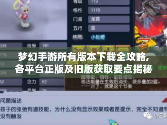 梦幻手游所有版本下载全攻略,各平台正版及旧版获取要点揭秘